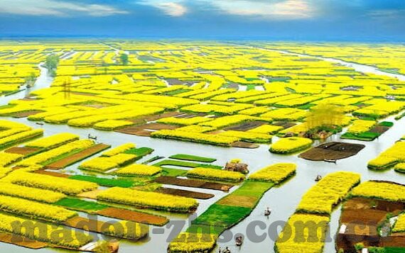 成人性爱视频-成人性爱视频，理解、影响与伦理考量
