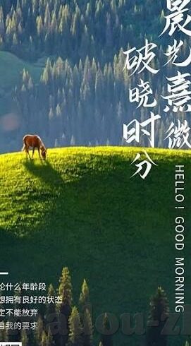 国产麻豆视频免费网站-畅享多样内容，探索国产麻豆视频的魅力之旅
