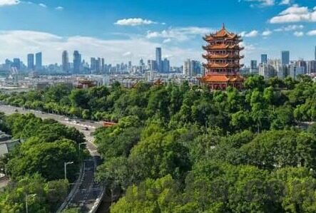 麻豆av专区-麻豆AV专区，娱乐界限的智慧与理性审视