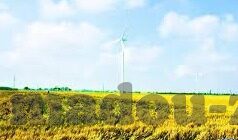 麻豆传媒app下载免费版下载-解析如今多元化内容的麻豆应用