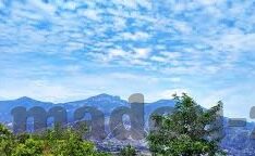 麻豆传媒映画app-成名网络的双刃剑，麻豆传媒映画App的灰色地带