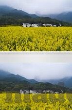 免费91麻豆精品国产自产在线-网络迷途与自我审视，从免费91麻豆精品国产自产在线现象看网络文化健康发展